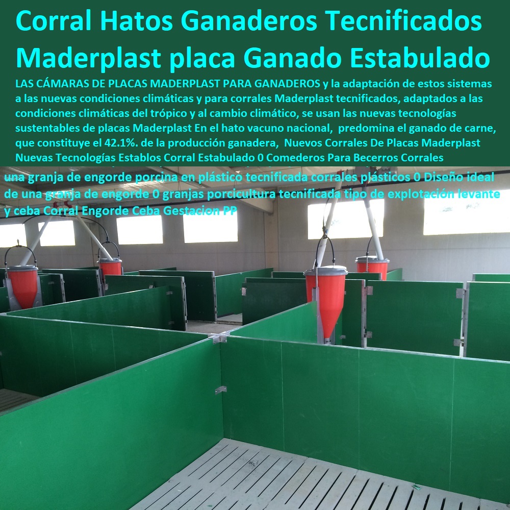 Nuevos Corrales De Placas Maderplast Nuevas Tecnologías Establos Corral Estabulado 0 Comederos Para Becerros Corrales Maderplast 0 Ganado Estabulado 0 Explotación Ganadera Automatizada, Sistemas de Pastoreo, Estabulación de Ganado, Pastoreo Intensivo, Establos, Corrales, Saladeros, Comederos, Cerramientos, Postes, Ganaderías Tecnificadas, Ganaderías Tecnificadas, Corrales Establos Ecológicos Maderplast 0 Hatos y Ganaderos Tecnificados corral Nuevos Corrales De Placas Maderplast Nuevas Tecnologías Establos Corral Estabulado 0 Comederos Para Becerros Corrales Maderplast 0 Ganado Estabulado 0 Corrales Establos Ecológicos Maderplast 0 Hatos y Ganaderos Tecnificados corral